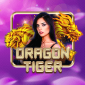 Dragon Tiger nino games live casino game